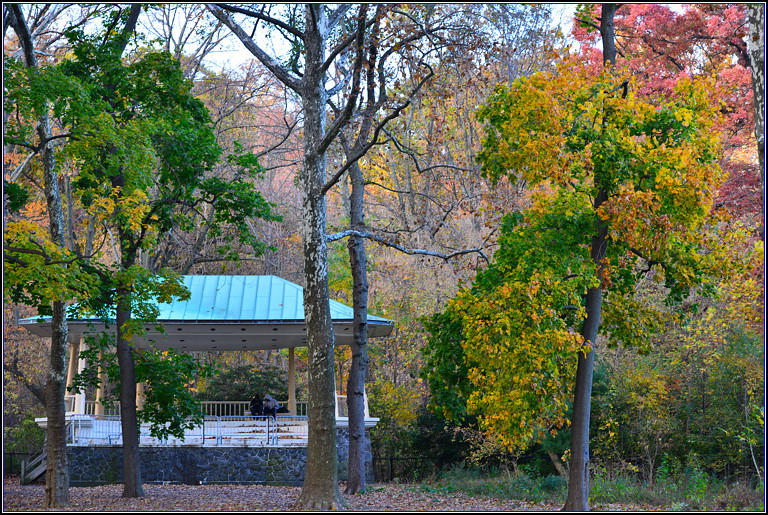 DSC_0548.jpg