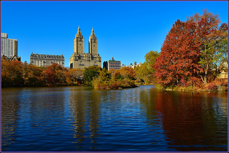 DSC_1014.jpg