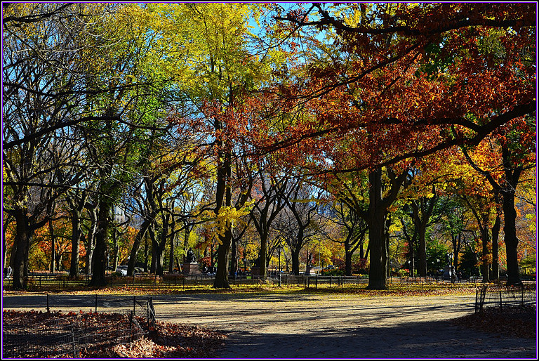 DSC_1118.jpg