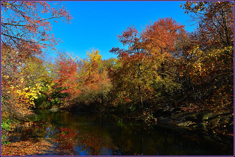 DSC_0960.jpg