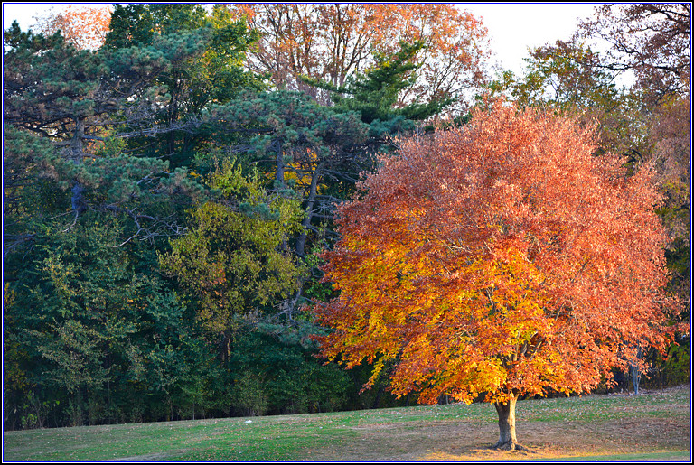 DSC_0557.jpg