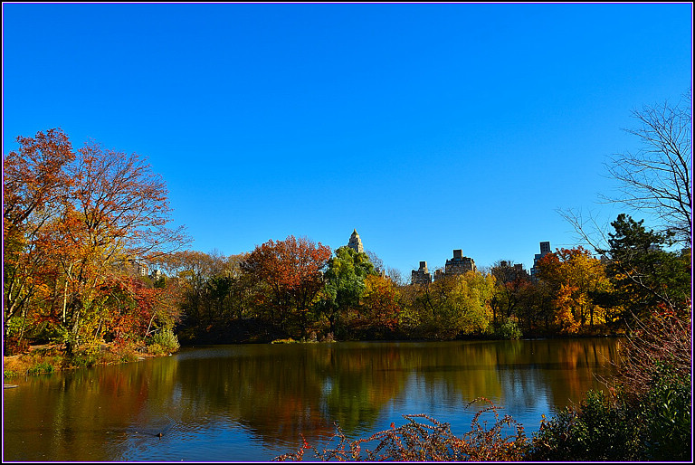 DSC_1005.jpg