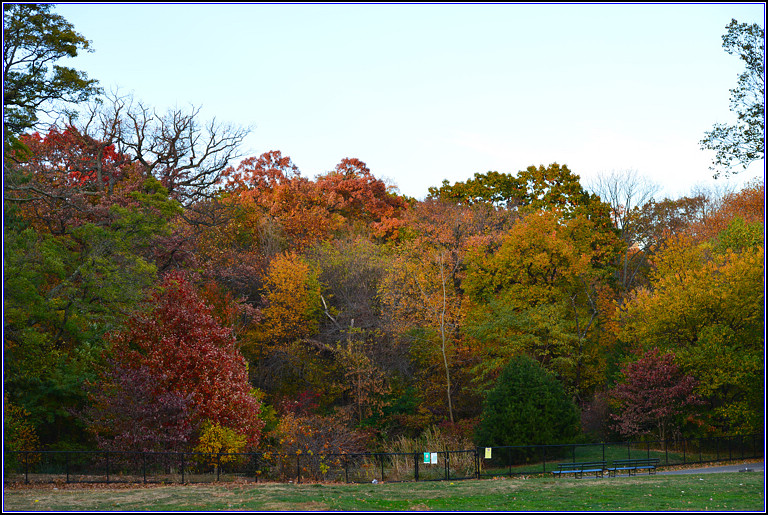 DSC_0560.jpg