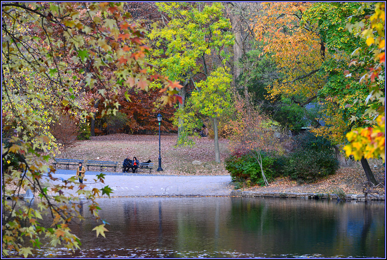 DSC_0539.jpg