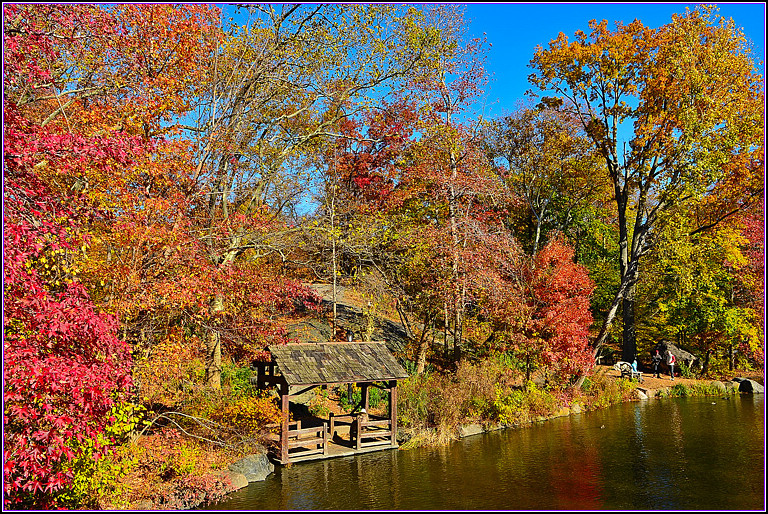 DSC_1003.jpg
