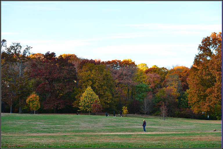 DSC_0571.jpg