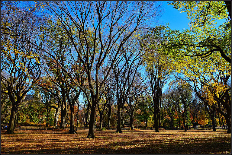 DSC_1127.jpg