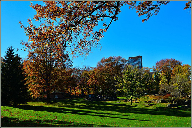 DSC_1090.jpg