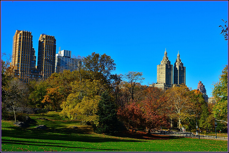 DSC_1094.jpg