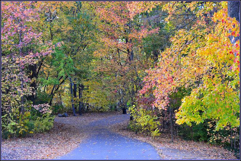 DSC_0533.jpg