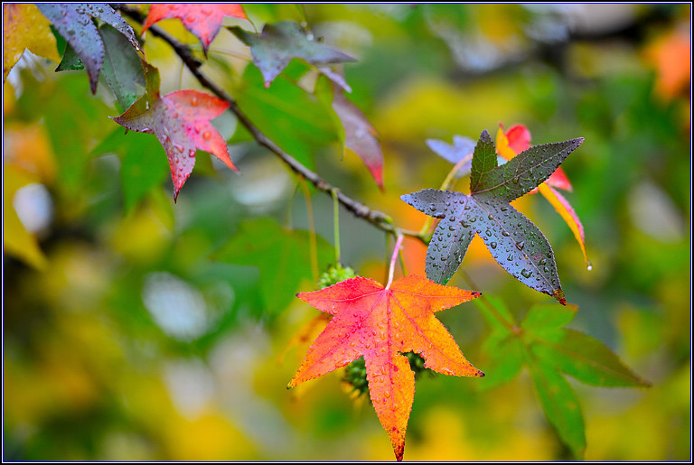 DSC_0658.jpg