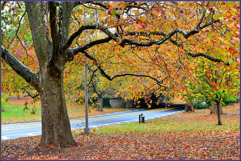 DSC_0695.jpg