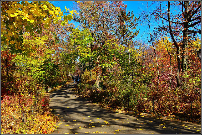 DSC_0959.jpg