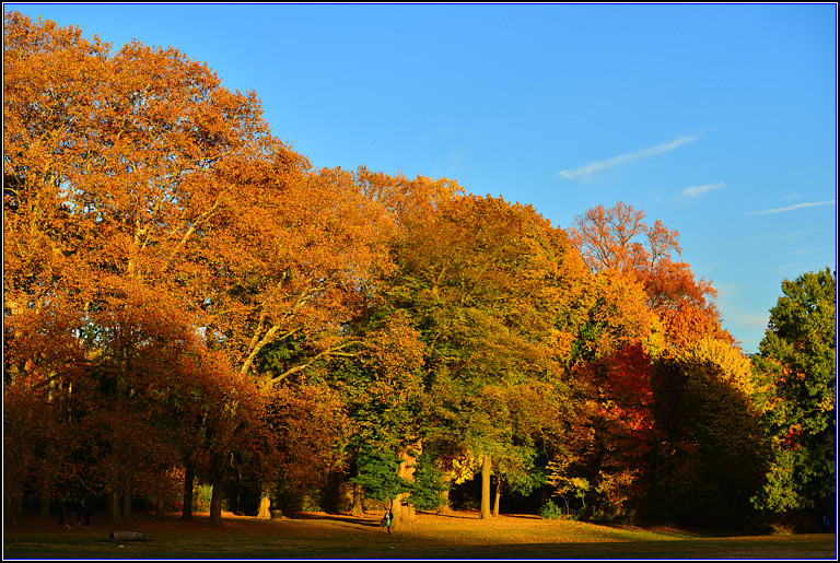 DSC_0563.jpg