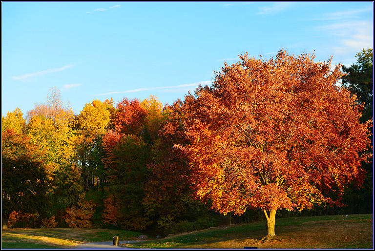 DSC_0569.jpg