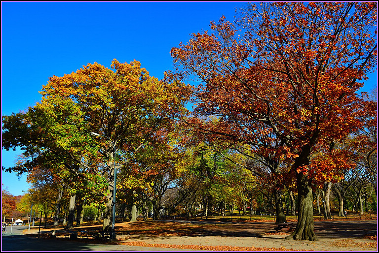 DSC_1117.jpg