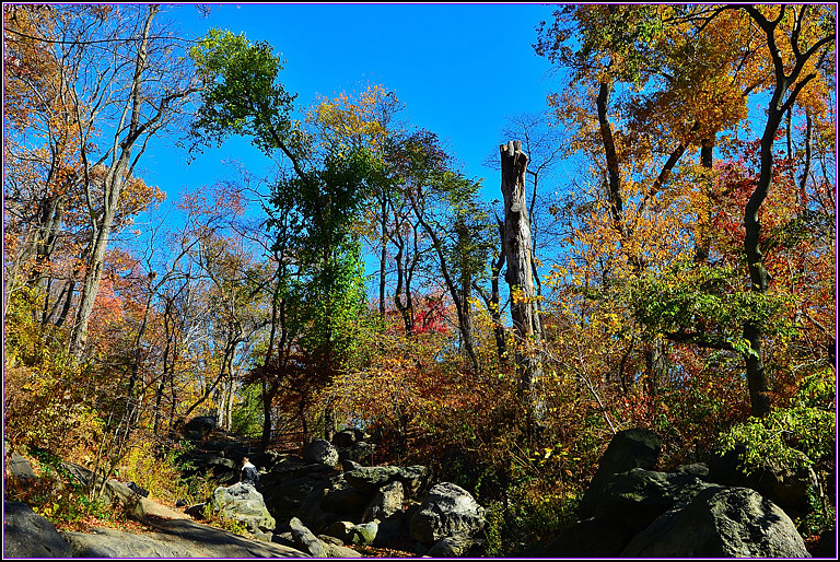DSC_0976.jpg