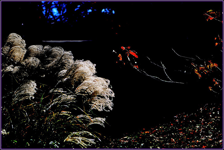 DSC_1055.jpg