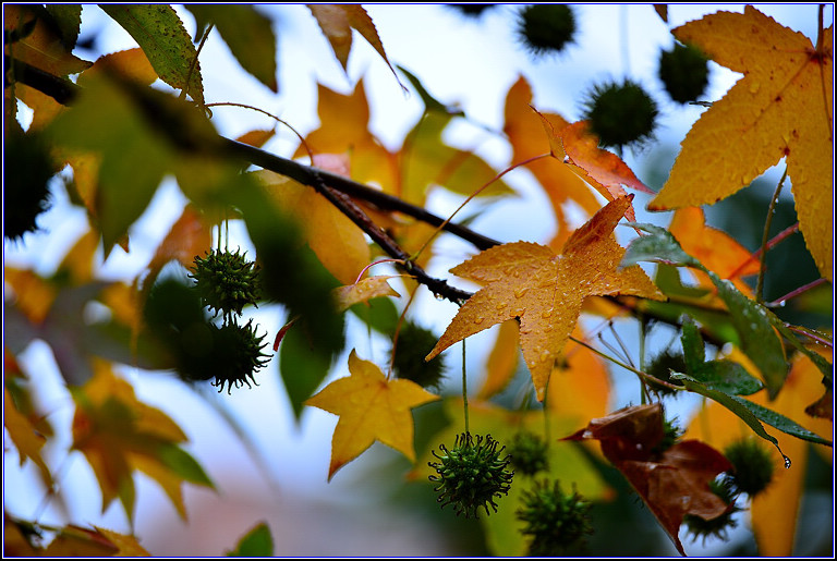 DSC_0660.jpg