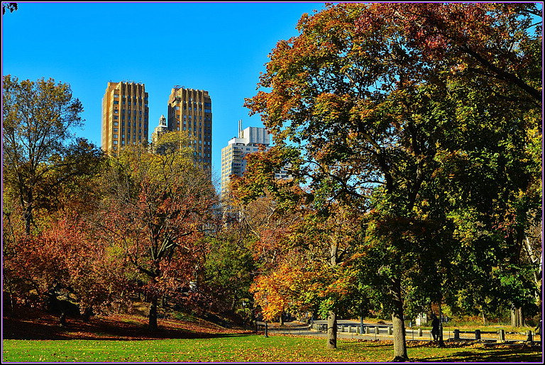 DSC_1087.jpg