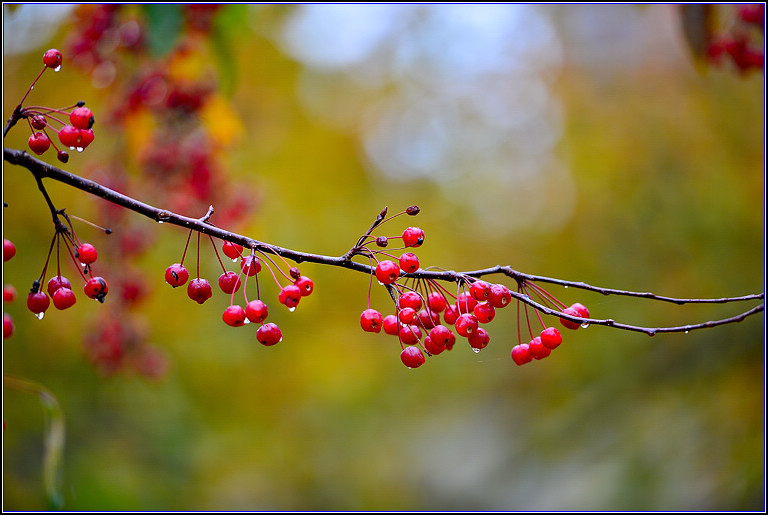 DSC_0673.jpg
