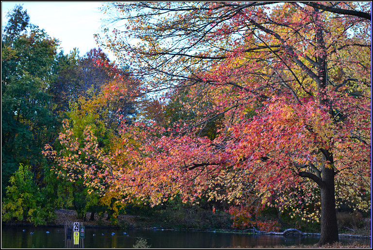 DSC_0524.jpg