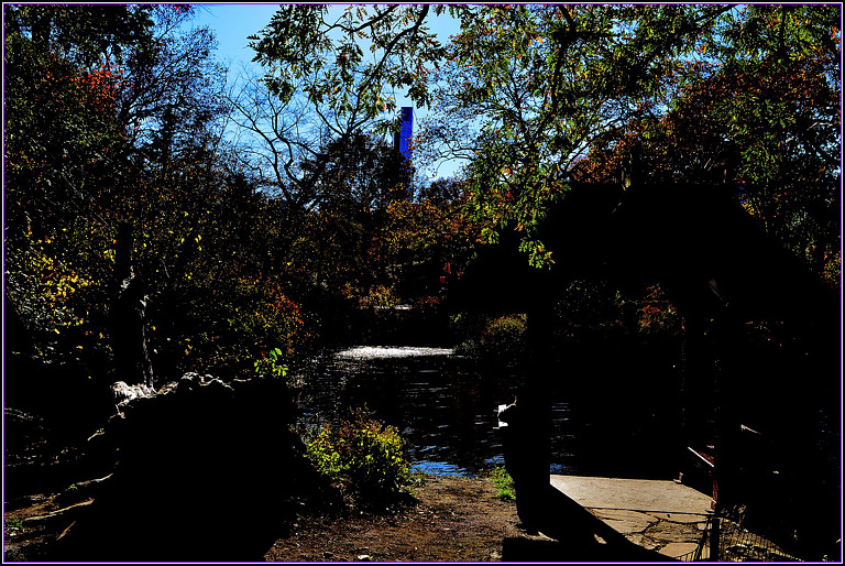DSC_1071.jpg