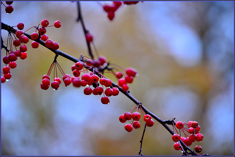 DSC_0672.jpg