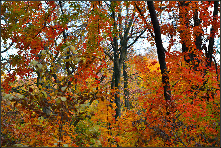 DSC_0613.jpg