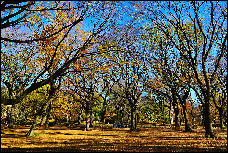 DSC_1126.jpg