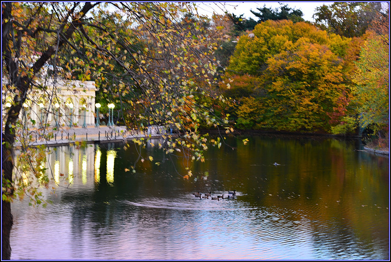 DSC_0634.jpg
