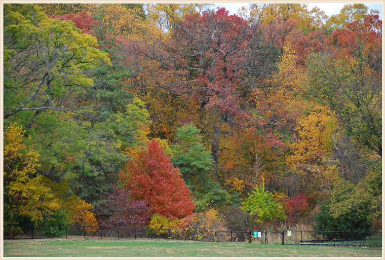 DSC_0909.jpg