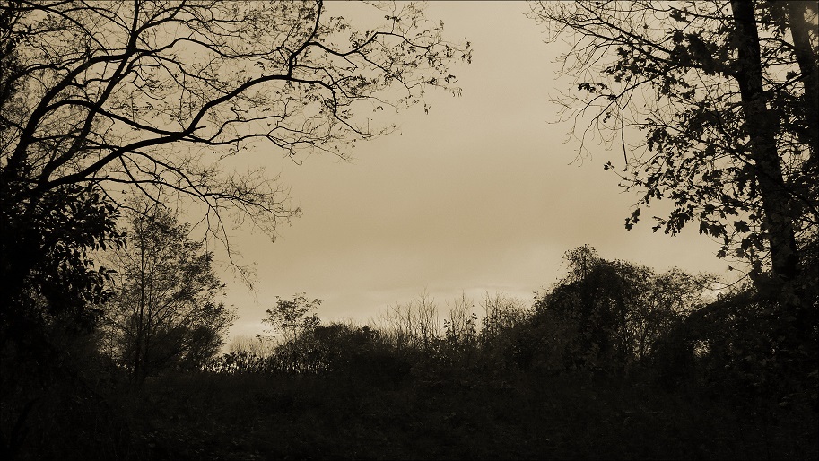 l1090231_conew1.jpg
