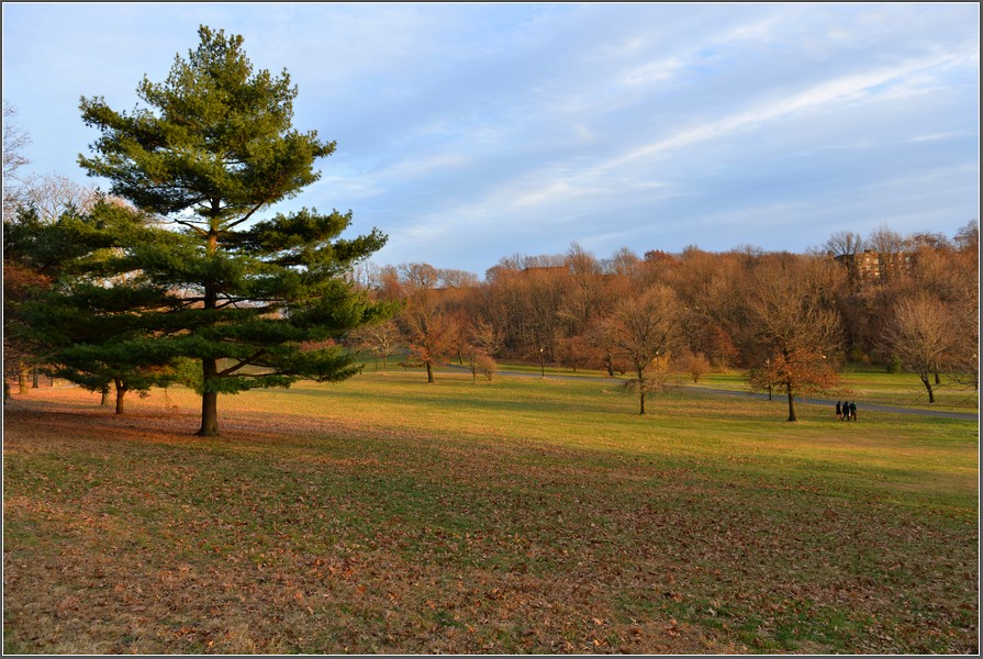 DSC_6566.jpg