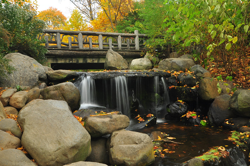 DSC_0281_.jpg