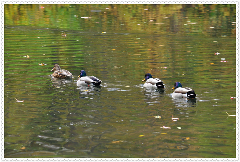 DSC_0359.jpg