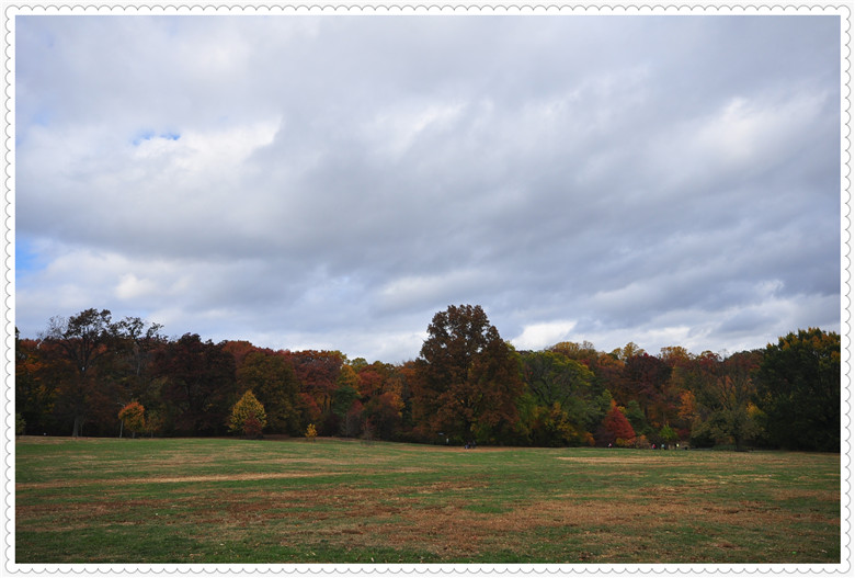 DSC_0264.jpg