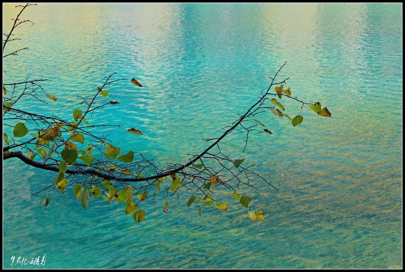 կƬ 266_conew2.jpg