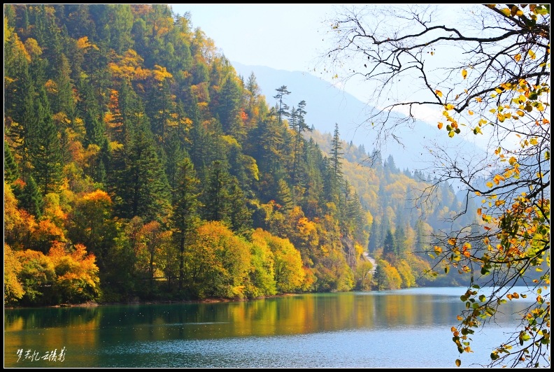 կƬ 289_conew2.jpg