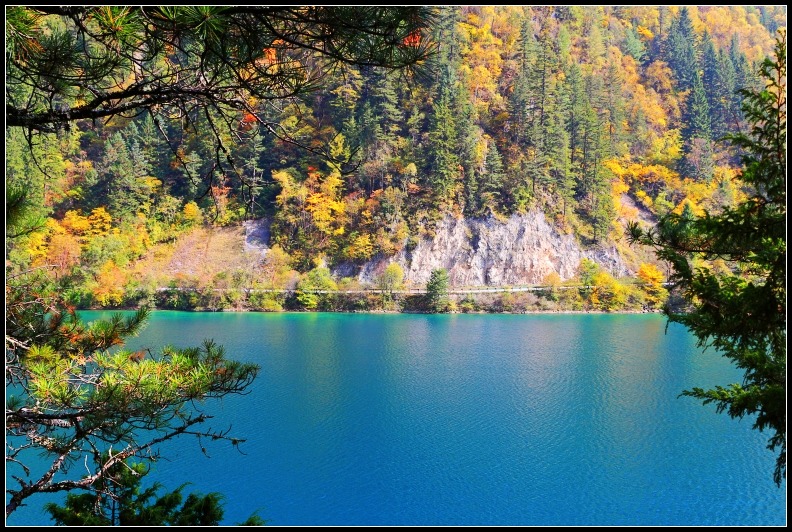 կƬ 275_conew2.jpg