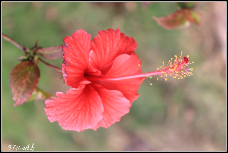 20131022 041_conew1.jpg