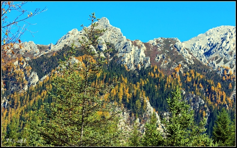 կƬ 159_conew2.jpg