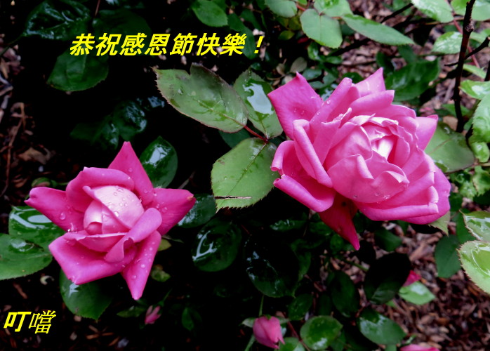 IMG_0001_6075.jpg