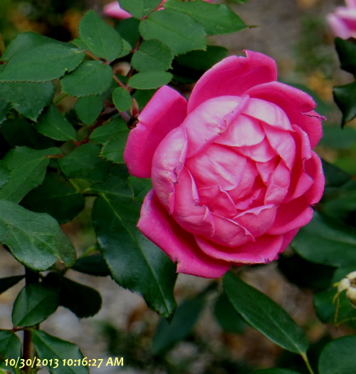 IMG_0001_5750.jpg