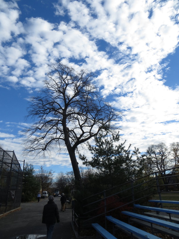 IMG_0001_6016.JPG