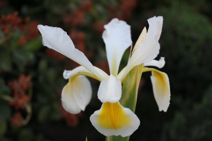 2012_07070046.JPG