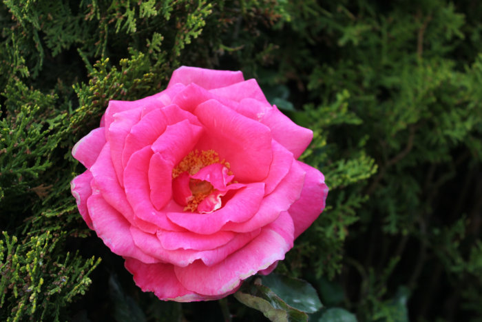 2012_07070083.JPG