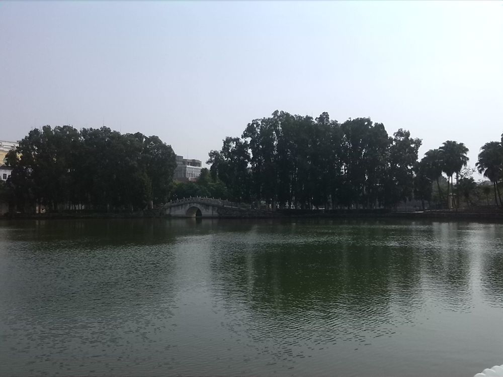 IMG_20131107_105718.jpg