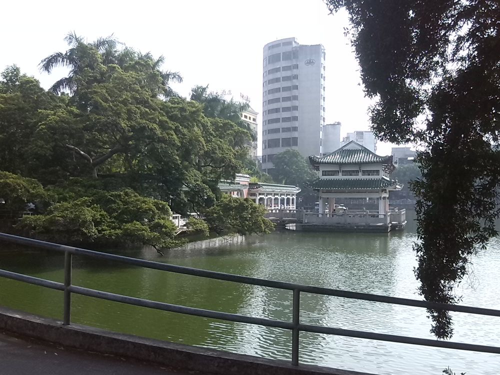 IMG_20131107_104415.jpg