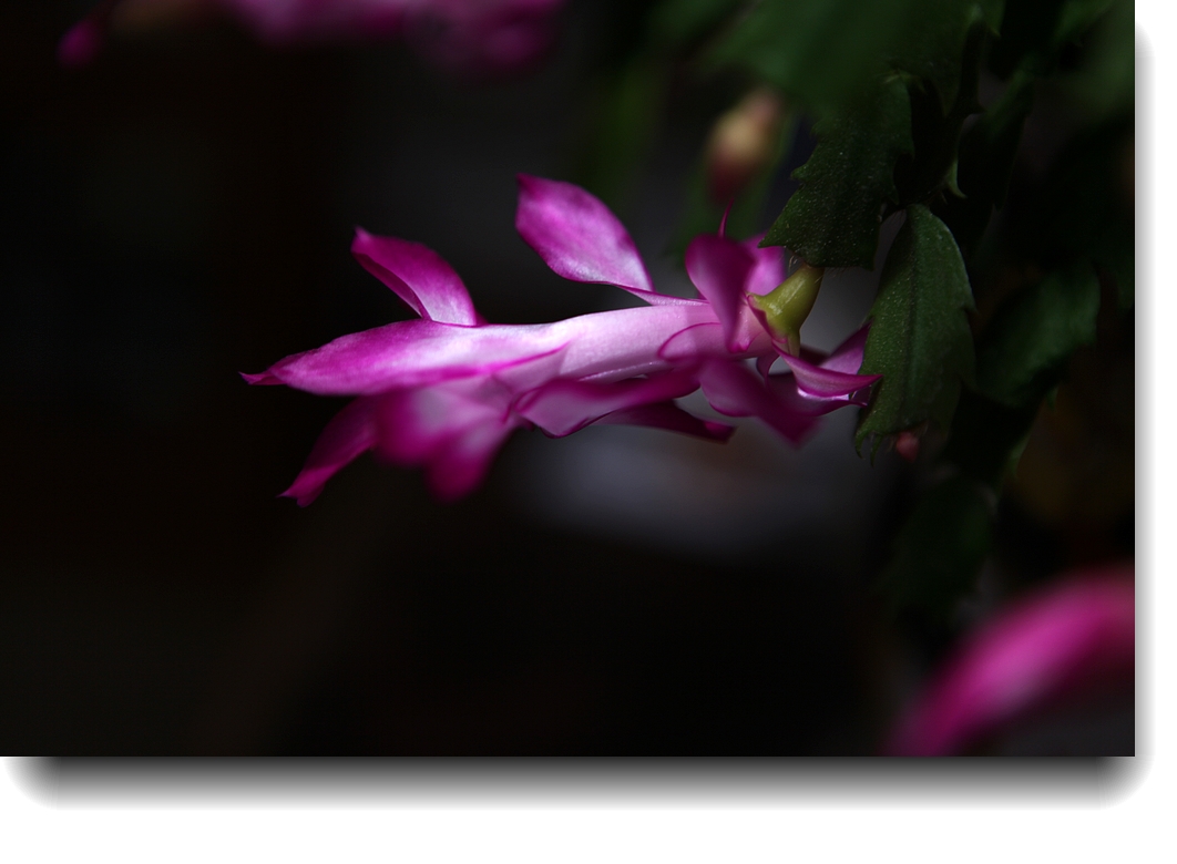 IMG_9870a.jpg